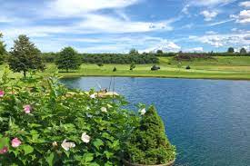 Not having them drop by in the first place! 3 Simple Tricks To Keep Geese Away From Your Pond For Good Pest Pointers Tips For At Home Pest Control
