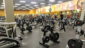 La fitness careers in management. What Is The Cost Of A Family Membership To La Fitness Quora