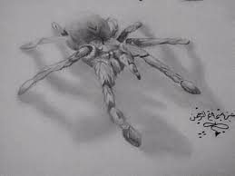 Moosay abalaba dooba , cadoosay (cadoosay) metamorphosis aporphis of morkle laborth laba gorbalib (laboratory!) yama nama doo yama namama, llama gamagoot (gamagoom!) Miezs Kaligrafer Drawer Goresan Pencil 2b Dan Hb Menjadukan Lukisan Laba Laba Ini Hidup Sebagaimana Aslinya Laba Laba Tarantula Black Spider 3d Facebook