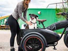 Image result for bicycle sidecar
