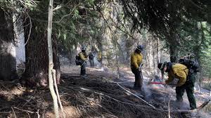 Jul 16, 2021 · current activity: West State Fire Near Tamarack Now 100 Contained Ktvb Com