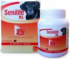 Ceva Sante Animale Senilife Xl For Elderly Dogs 30 Caps Click Image To Review More Details Elderly Dogs Dog Health Care Dog Health