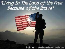 The final line of the us national anthem, the star spangled banner, goes o'er the land of the free and the home of the brave. The Notorious Meddler Living In The Land Of The Free Because Of The Brave