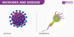 Microbes and Diseases- Explore Diseases Caused by Microorganisms