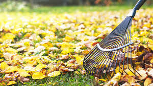 Plant or transplant peonies this month. What To Do In The Garden In October Pro Mix Gardening