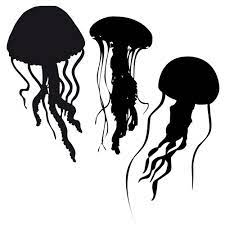 Simple Jellyfish Silhouette Drawings Jellyfish Craft Jellyfish Drawing