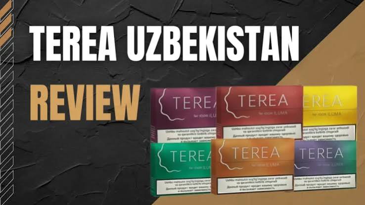 The Ultimate TEREA Uzbekistan Flavor Guide - iqos-uae.ae