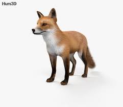3d Model Of European Red Fox Hd In 2020 3d Model Red Fox Fox