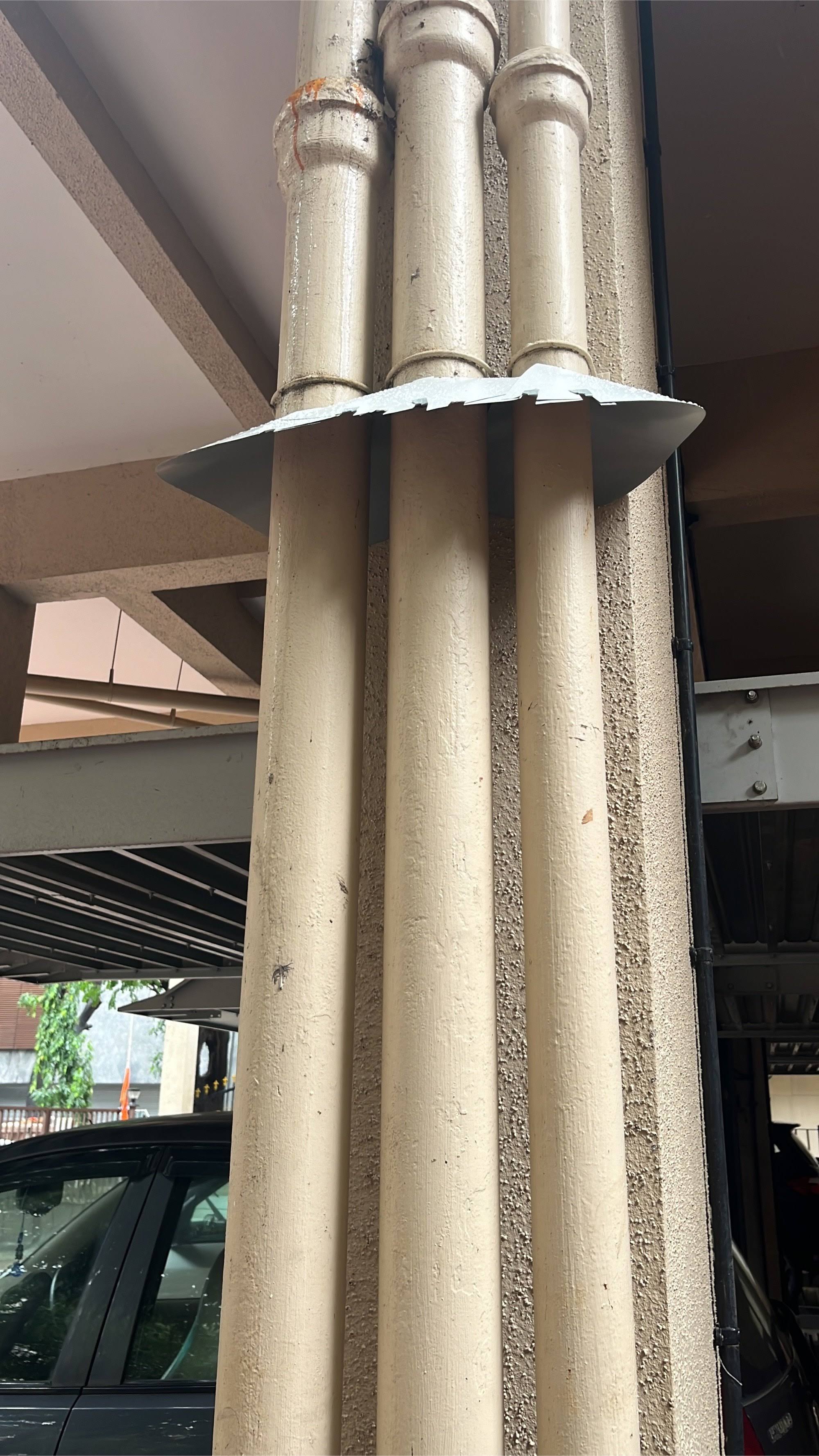 Rat guard installation product image