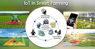 Agriculture (including forestry and wood products) is a major sector of peninsular malaysia's economy and is important on a global basis as well. How Internet Of Things Iot Is Transforming The Agriculture Sector Business Of Apps