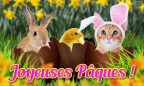 Vous retrouverez sur nos cartes virtuelles gratuites mais aussi sur nos cartes papier joyeuses pâques les symboles de cette fête : Cybercartes Cartes De Voeux Cartes Virtuelles Gratuites
