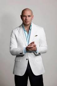 pitbull pitbulls pitbull rapper pitbull the singer