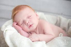 Ma se il genitore ha due alleli marroni, allora il marrone dominerà e il bambino sarà bruno. Petit Ange Ginger Head Redheads Children