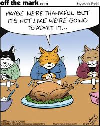 Funny Cat Pictures With Captions Funny Cat Pictures Cat Pics Cat Jokes