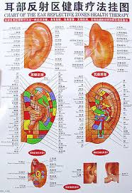 Healthy Human Body Acupuncture Point Chart Tcm Chinese