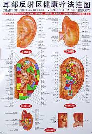 healthy human body acupuncture point chart tcm chinese