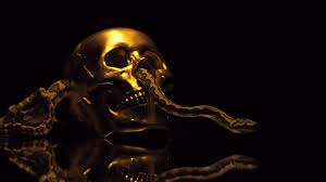 We did not find results for: Skull 1920x1080 Download Hd Wallpaper Wallpapertip