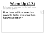 To play this quiz, please finish editing it. Evolution Day 7 Northwest Isd Moodle