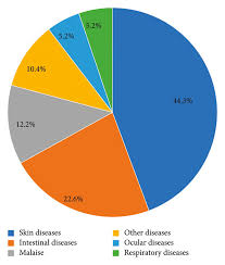 Image result for Psydrax locuples