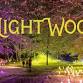 Nightwood event image