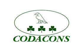 Il codacons ha elaborato uno studio dedicato alla settimana del black friday che quest'anno genererà a livello nazionale il decalogo codacons. Tassa Salvataggi Bancari Codacons Lancia Azione Collettiva Picenotime It