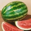You won't find a wiki for it, but this fruit is authentic. Https Encrypted Tbn0 Gstatic Com Images Q Tbn And9gct0emabru Lwtsdmp43u806zdy1mndm9 Vg0o5m Bfdgghoqsw9 Usqp Cau