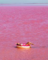If you wish to not disclose the location you should at the very least name the state/country. Pink Lake Western Australia Everything You Need To Know Maky Matt