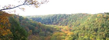 Maybe you would like to learn more about one of these? Mohican State Park Outdoorsy