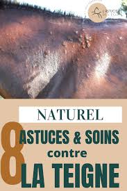 Epingle Sur Astuce Cheval