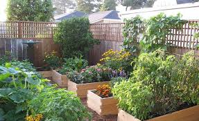 Raised Beds Soil Depth Requirements Eartheasy Guides Articles Building A Raised Garden Cedar Raised Garden Beds Cedar Raised Garden
