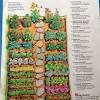How to do kitchen gardening. Https Encrypted Tbn0 Gstatic Com Images Q Tbn And9gcsss0zzhtkspcy3rbgg7sk Ofhrlezmyeefst0onxgmm3omvujb Usqp Cau