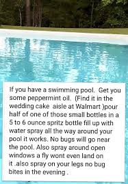 When wintertime heads your way, it is just as important to take care of your pool as it is to. Pin By Teresa Deshotel On Tips Spray Pool Pool Care Pool