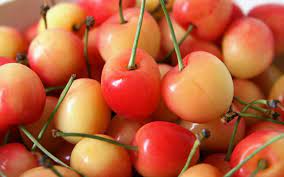 We did not find results for: Rainier Cherries Westlake Produce Company