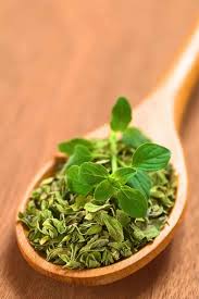 The annual plant grows up to 2ft tall with small white to pinkish flowers. 6 Marjoram Substitutes That Should Save The Day
