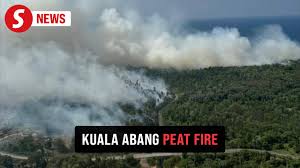 Fire Dept focuses on forest fire near ...