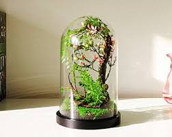 Artificial Plants Forest Terrarium Cabinet Of Curiosities Dome Bell Glass Birthday Gift Wedd Artificial Plant Arrangements Terrarium Domes Artificial Plants