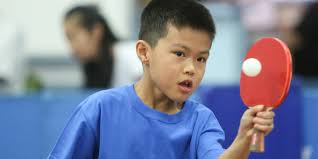 It does have a good elegance with superb build quality. Best Table Tennis Bats For Junior Players
