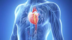 This is herzmuskelentzündung by kardiologie essen on vimeo, the home for high quality videos and the people who love them. Herzmuskelentzundung Ursachen Fur Myokarditis Bunte De