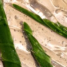 Application of aloe vera gel to the hair is a great means for trapping moisture in the. How To Use Aloe Vera For Shiny Healthy Natural Hair