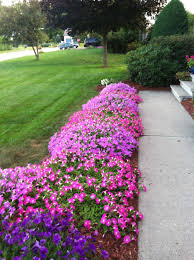 Pin On Gardening