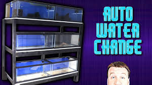 Learn how to change your aquarium safely and easily, with the least fuss and chance of ever causing your tanks inhabitants any harm. How To Diy Auto Water Change System Stop With The Buckets Already Youtube
