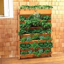 Grow strawberries vertically with a pvc tower. Creative Strawberry Planters Hgtv