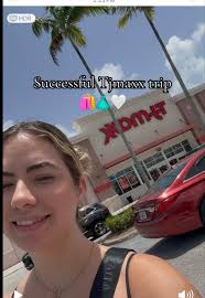 Fenella Smith Suitcase Tk Maxx