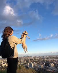 Share the best gifs now >>>. Gemma Chan On Twitter Look Simba Everything The Light Touches Is Our Kingdom