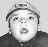 Mason Stehr Obituary (2008)