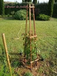 Tuteur Pour Plantes Grimpantes L Telier De Stell Plante Grimpante Plante Jardin Potager