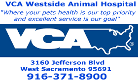 We did not find results for: West Sacramento News West Sac On Line News Newspaper West Sacto Information