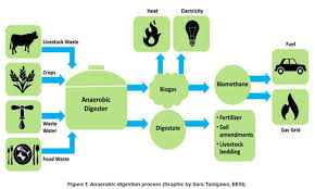 Diagram proses anaerobic digestion
