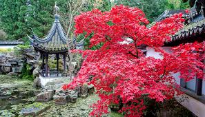 Garten der dichter und gelehrten. Qian Yuan Der Garten Der Dichter Und Gelehrten