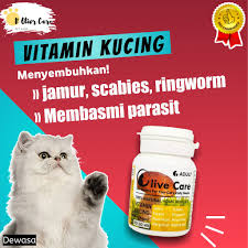 Guna syampu bersesuaian dan ubat kutu setiap bulan untuk mencegah jangkitan. B02 Olive Care Vitamin Obat Kucing Dewasa Scabies Jamur Bulu Rontok Kucing Makanan Kucing Cat Shopee Indonesia